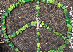 Occupy Peace