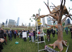 My Year with Occupy